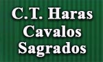 haras cavalos sagrados