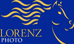 lorenz fotos