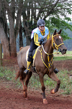 Gabriela Moreira Abreu e VG Fame