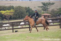 IMG_0105 - Cópia