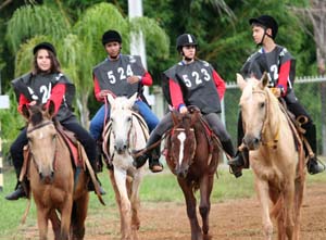 equipe de regularidade de bras&iacute;lia