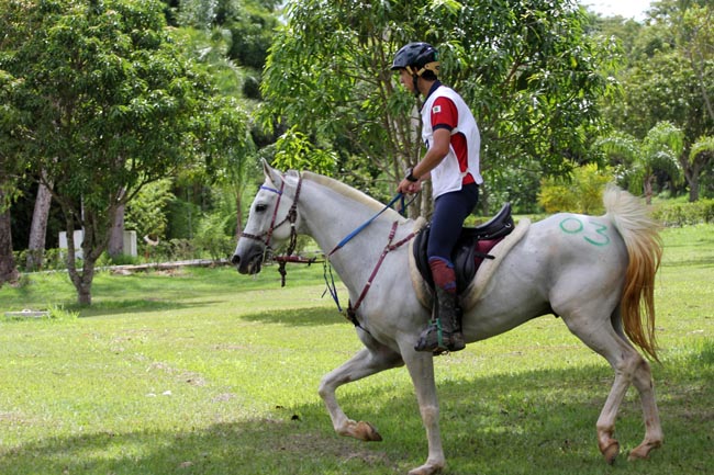 rodrigo barreto