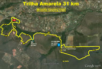 trilha amarela