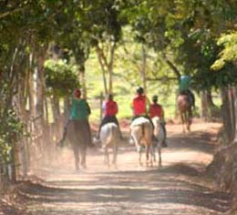 cavaleiros na trilha em minas gerais