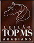 logo leilao top ms