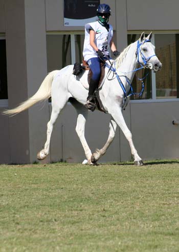 mariana neves e thouareg