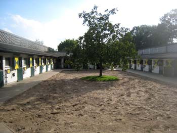 warendorf, frankfurt