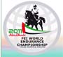 logo mundial de abu dhabi de young riders