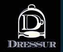 logo dressur