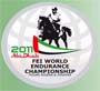 logo mundial de young riders em abu dhabi