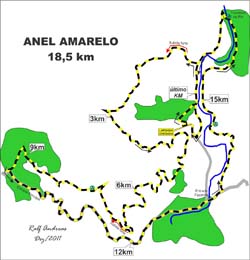 anel amarelo
