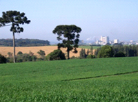 entre rios, guarapuava, paran&aacute;