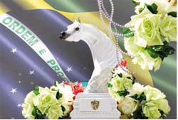 copa nacional do cavalo &aacute;rabe