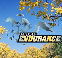 logo Haras Endurance