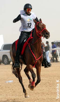 Sultan Ahmed Al Baloushi