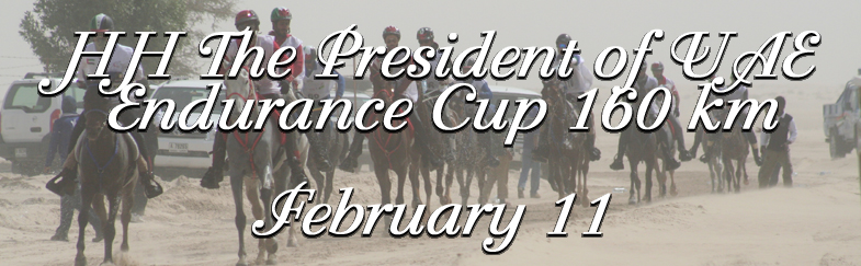 banner presidents cup 2012