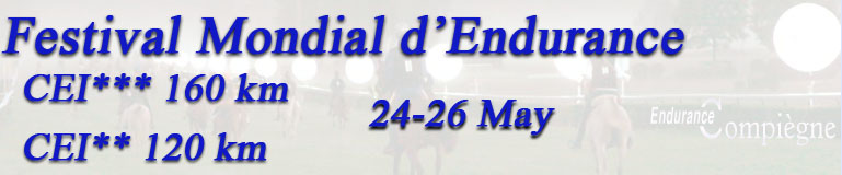 banner festival mondial d'endurance