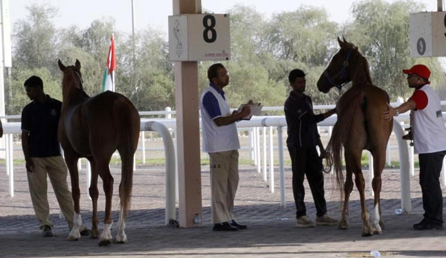 Bouthieb Endurance Village