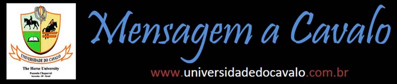 banner mensagem a cavalo