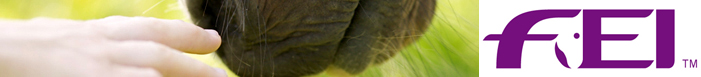 banner fei
