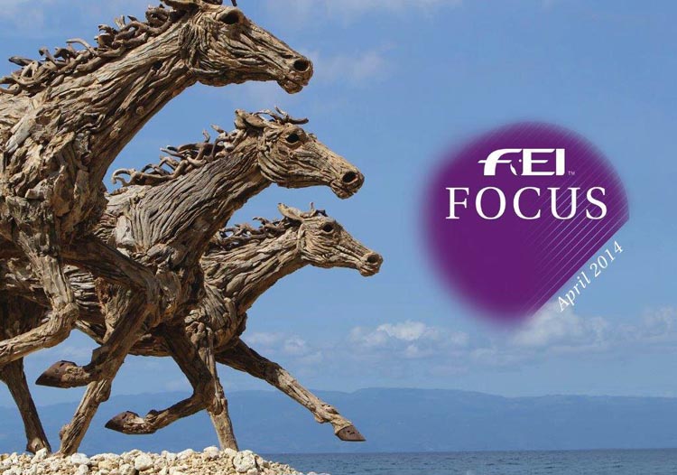 Fei Focus cover