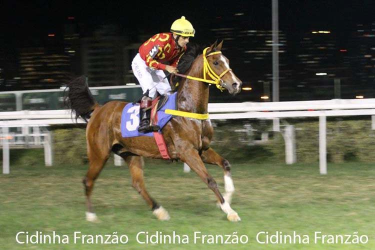 Corrida patrocinada pela HARC no Brasil