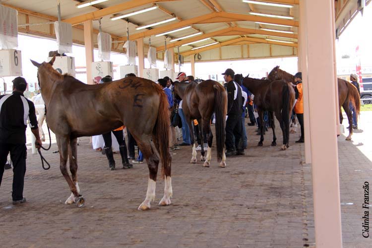 Boutheib Endurance Village