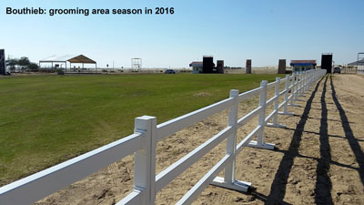 grooming area season 2016