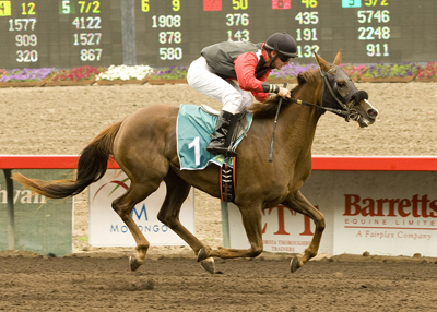 corrida de cavalo