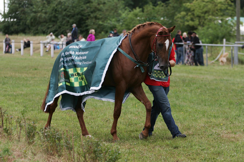Fanal El Samawi wins Wathba Cup in Germany