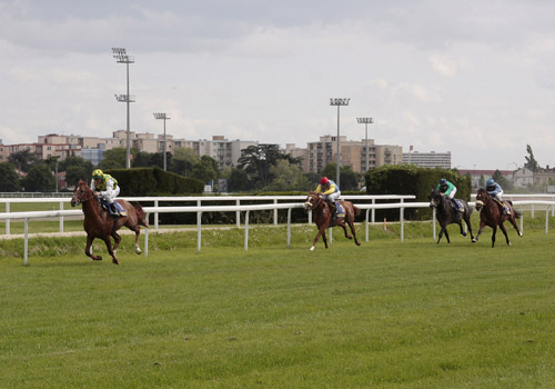 horses in racing