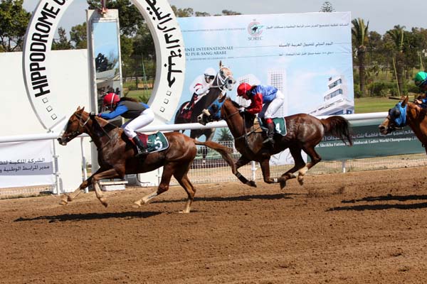 arabian flat racing in morocco