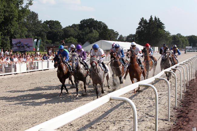 The large field of 13 horses in action in the race last year
