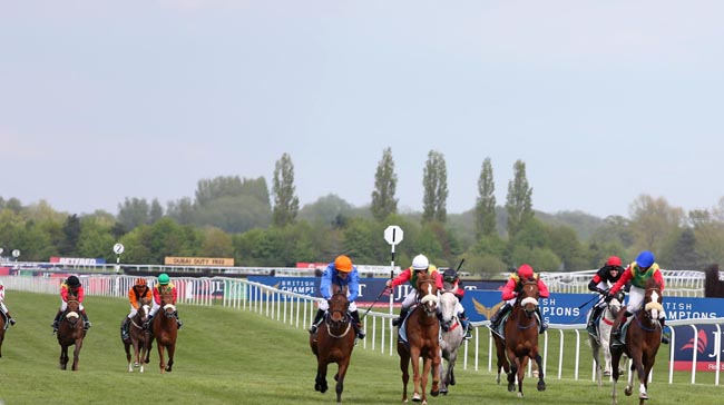 Action from previous Wathba Stud Farm Cup races