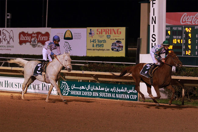 corrida no hip&oacute;dromo em San Francisco