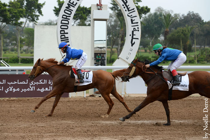 South Korean lady jockey L. Keumjoo wins the fifth round ofHH Sheikha Fatima Championship in Morocco