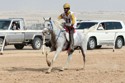 Al Mazrouei wins Yas Ride for Private Owners