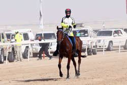 Spanish rider Laian Soria Pinol tops in Al Dhafra Endurance Ride