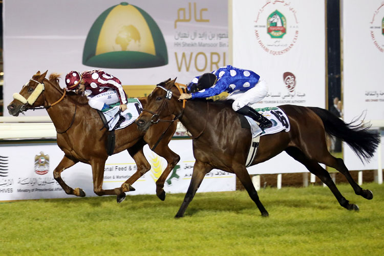 Action from last year's inaugural Euros 1.2 million Sheikh Zayed Bin Sultan Al Nahyan Cup Crown Jewel-IPIC (Group 1) race