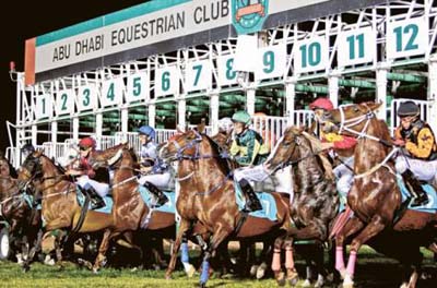 largada corrida de cavalos &aacute;rabes