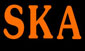 premio ska