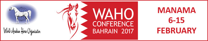 Waho Conference Bahrain 2014